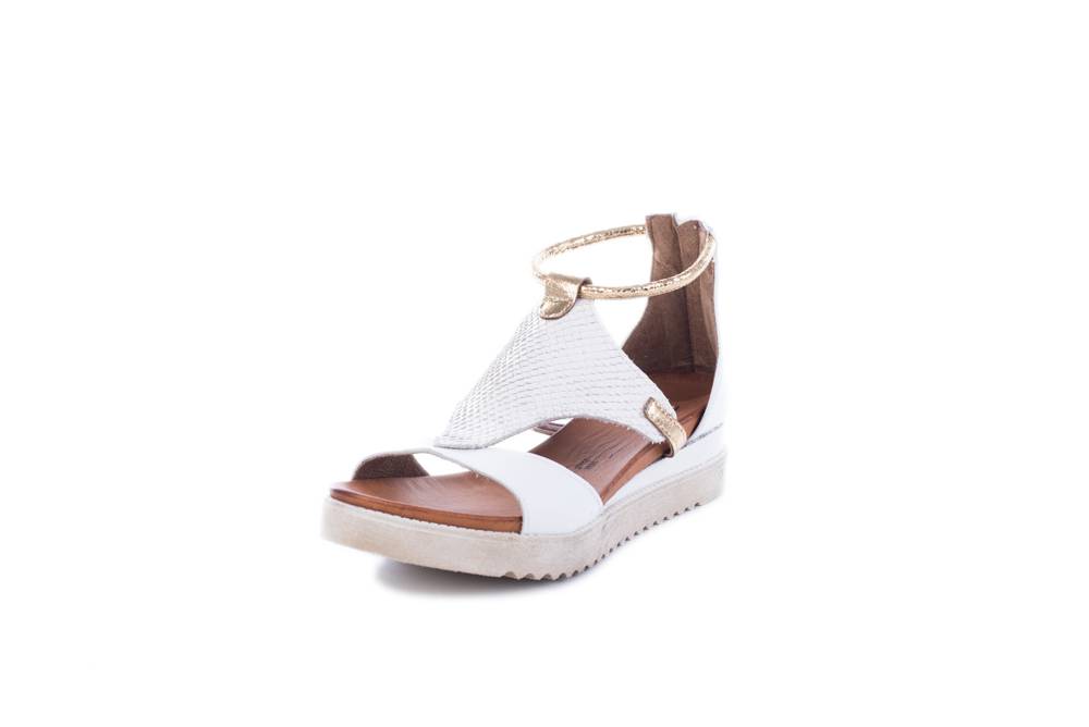 Jiudit Art.70071 Discount Store per i nuovi prodotti