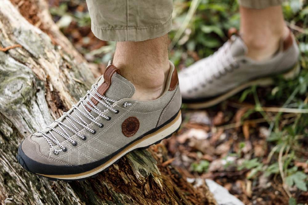 Lomer Bio Naturale Canvas Online