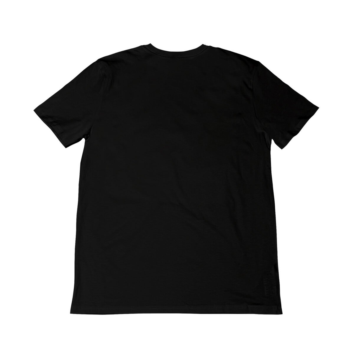 Seetees Superfresh t-shirt della capsule This Is Art cotone organico vegano Soddisfazione Garantita