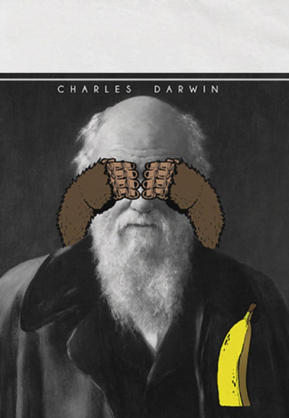 Seetees Darwin Moda