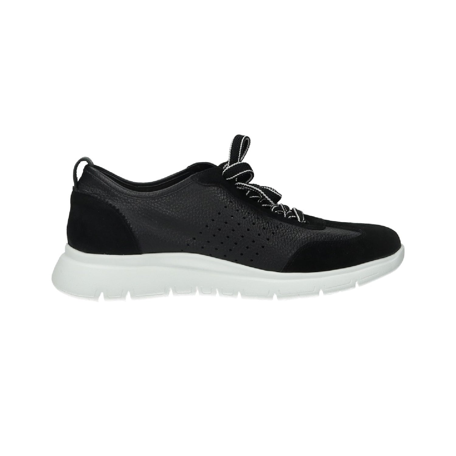 Tata Italia Sneakers morbide con tiretto posteriore Shopping online