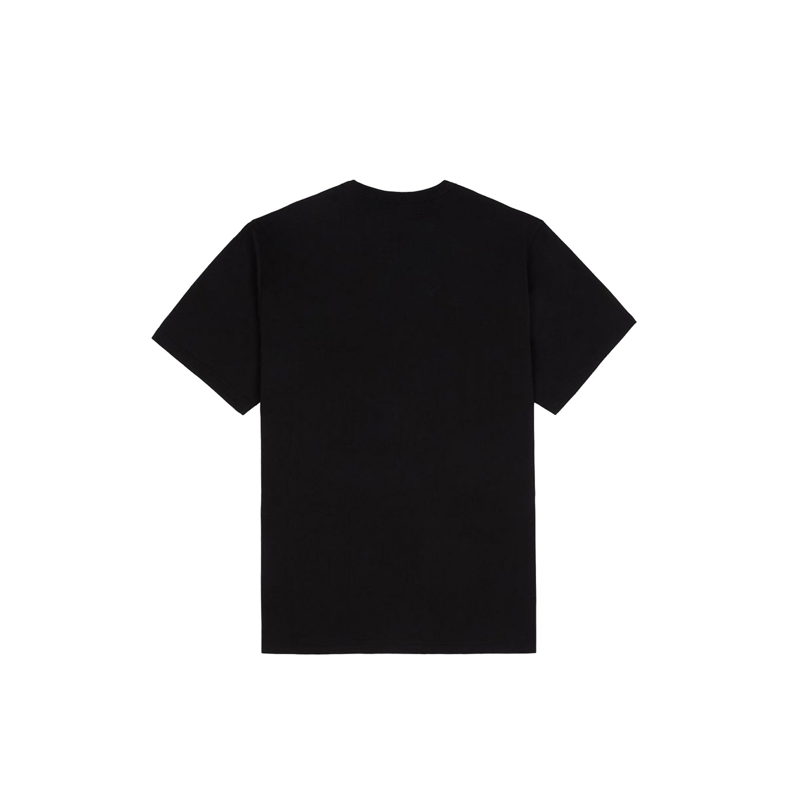 Dickies Aitkin Tee ACQUISTA ORA