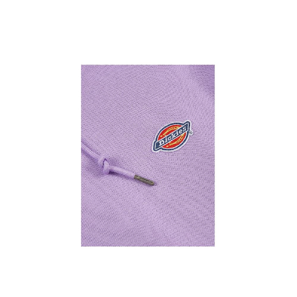 Dickies Millersburg Hoodie Sottocosto