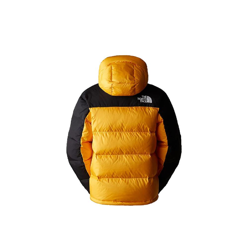 The North Face Men's Hmlyn Down Parka Esporta salva